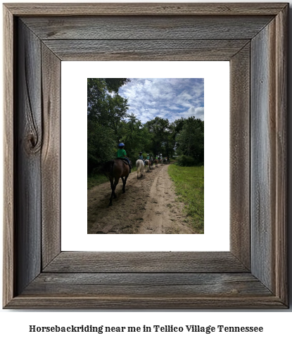 horseback riding near me in Tellico Village, Tennessee